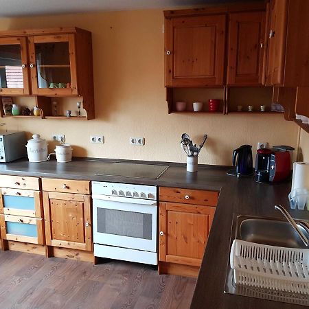 Ferienwohnung Am Kurpark Hasselfelde Ngoại thất bức ảnh