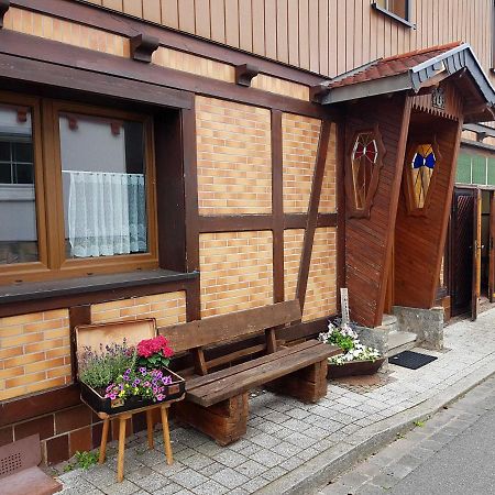 Ferienwohnung Am Kurpark Hasselfelde Ngoại thất bức ảnh