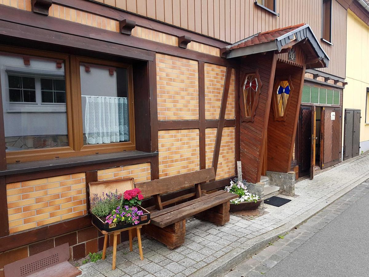 Ferienwohnung Am Kurpark Hasselfelde Ngoại thất bức ảnh